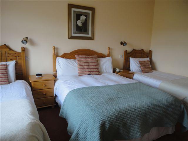 Alpine Guesthouse Дингл Номер фото
